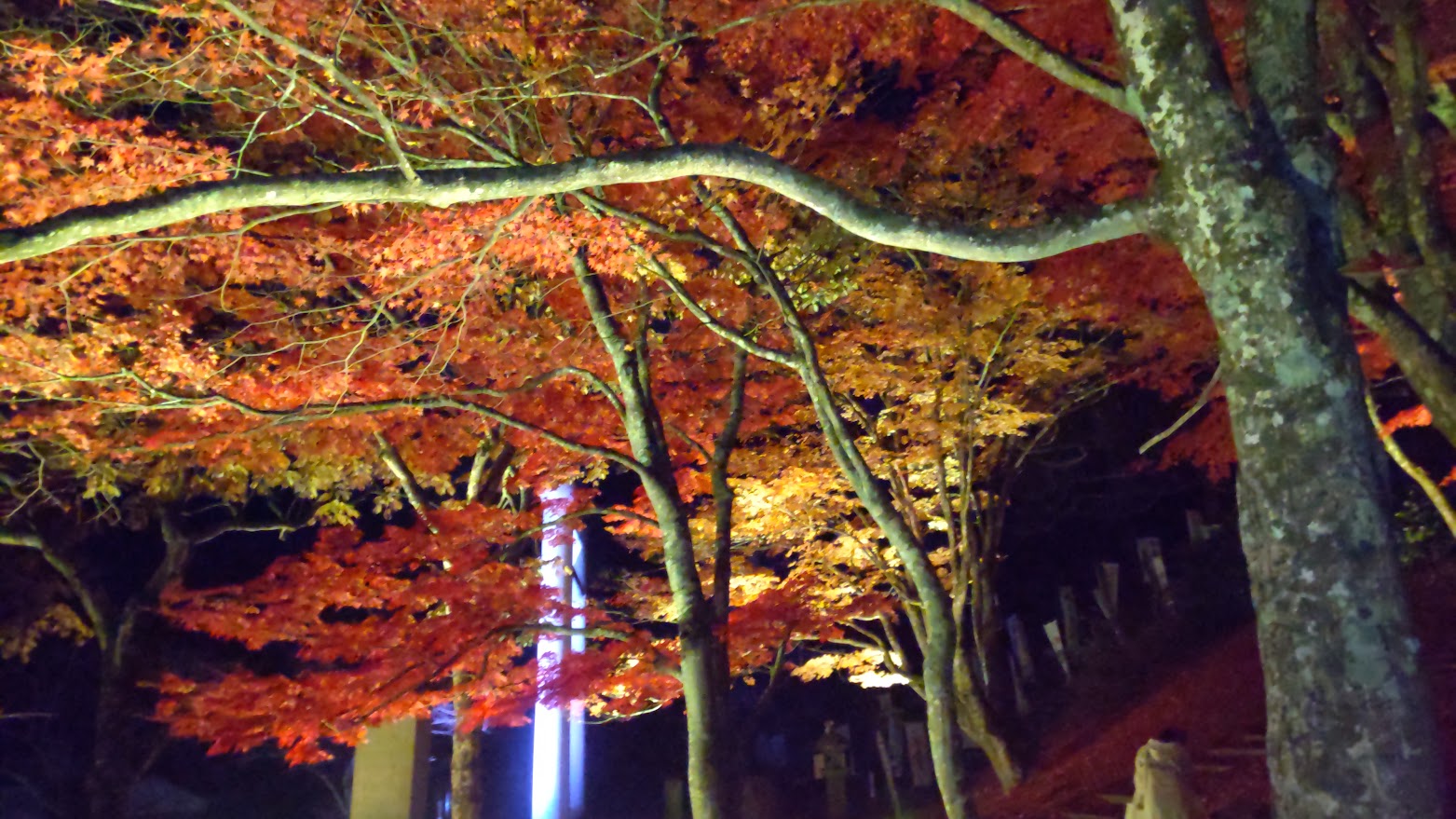 土津神社紅葉ライトアップ