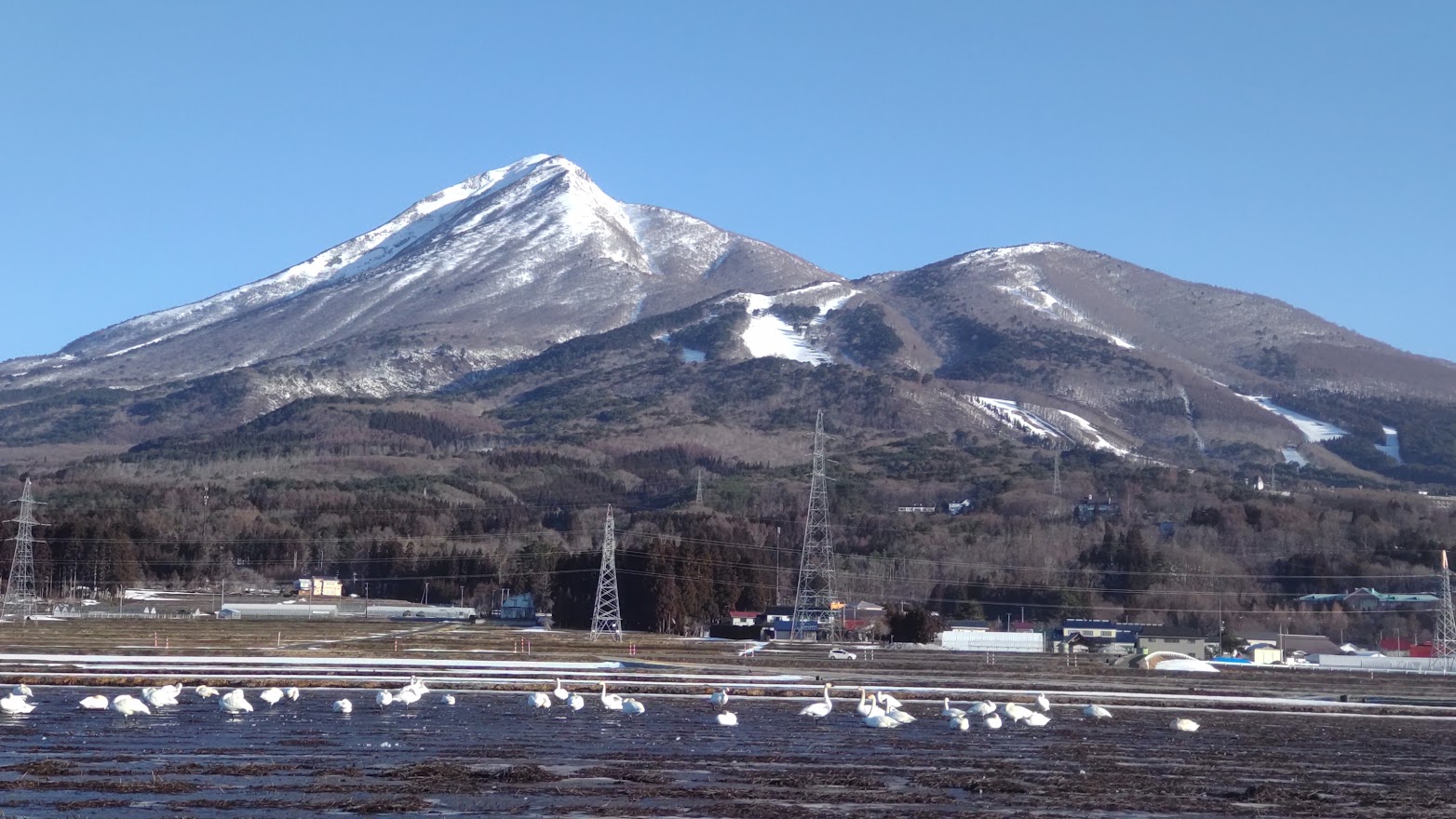 磐梯山と白鳥