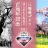 三春滝桜／天然記念物指定100周年 | Find！三春 【みはる観光協会～福島県三春町】